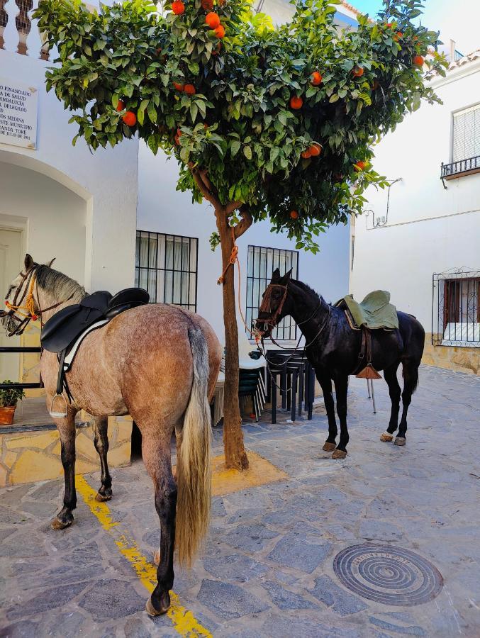 Modern, Bright And Comfortable Apartment With Shared Roof Terrace Canillas de Aceituno 外观 照片